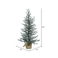 thumbnail image 3 of Vickerman 24" Frosted Angel Pine Artificial Christmas Tree with 35 Warm White LED Lights -B165125LED, 3 of 3