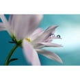 thumbnail image 3 of Westum, Heidi 24x17 Black Modern Framed Museum Art Print Titled - In Turquoise Company, 3 of 5
