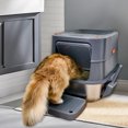 thumbnail image 3 of BingoPaw Cat Litter Box Enclosed Cat Kitty Litter Box with Stainless Steel Tray Pan, Scoop, 3 of 11