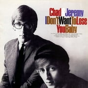 I Don't Want to Lose You Baby