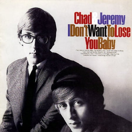 I Don't Want to Lose You Baby