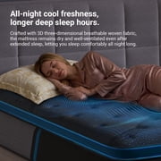Avenco Queen Size Hybrid Mattress 12 inch Bed in a Box, Medium Firm