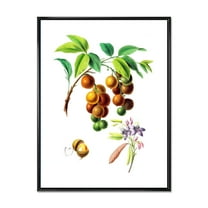 Designart 'Ancient Fruits III' Farmhouse Framed Canvas Wall Art Print