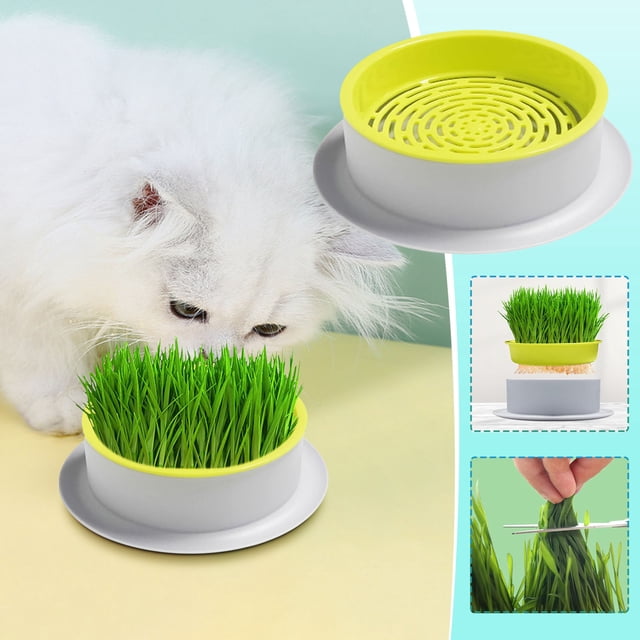 Bandeja de Cultivo Hidropónico Sin Tierra | Bandeja de Germinación de Plástico para Césped y Hortalizas Pequeñas | Uso Interior/Exterior | 12,5 X 10 X 4 Cm | Ligera y Práctica | Incluye 1 Recipiente