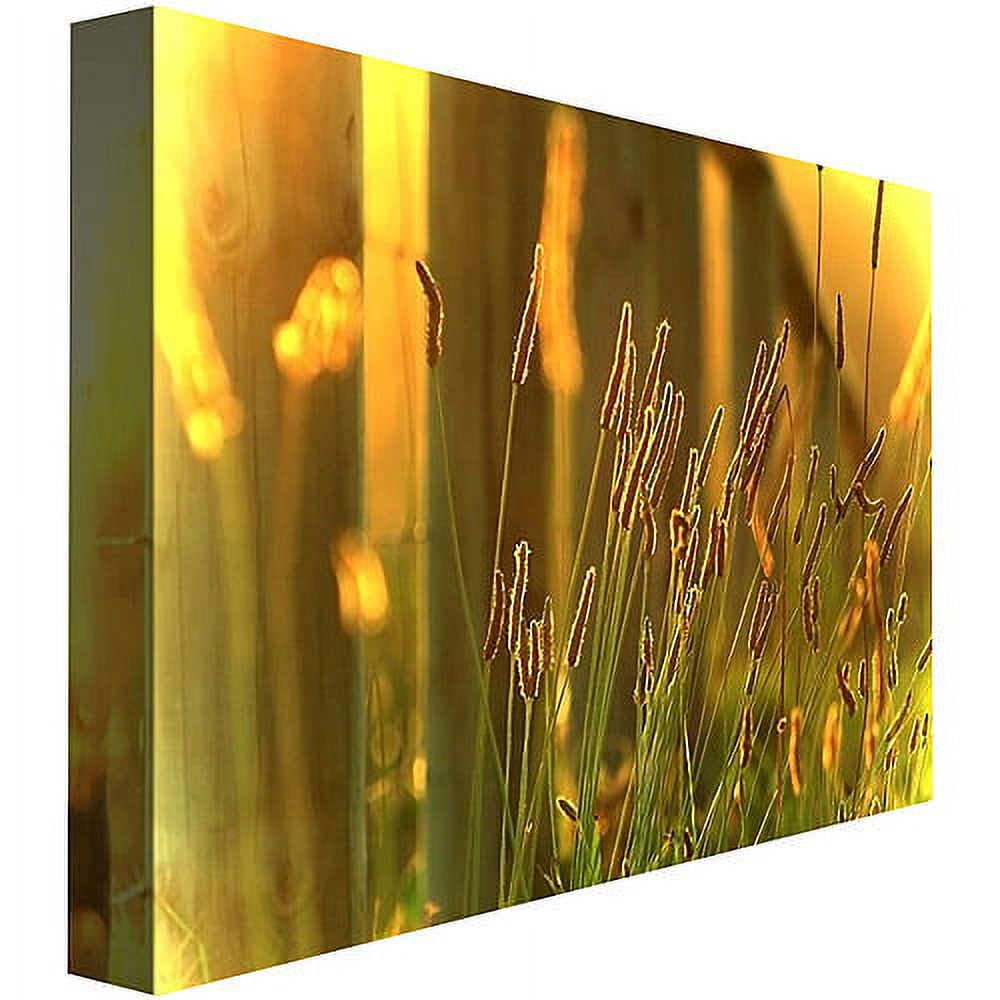 Trademark Fine Art "When the Sun Goes Down" Canvas Art by Beata Czyzowska
