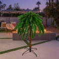 thumbnail image 2 of Northlight 4' Pre-Lit Artificial Tropical Outdoor Patio Palm Tree - Multicolor Lights, 2 of 5