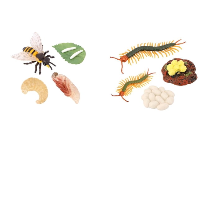Ciempiés de Educación Temprana Yotijar Juguetes de Imaginación Cognitiva Juego de Crecimiento de Insectos para Niños