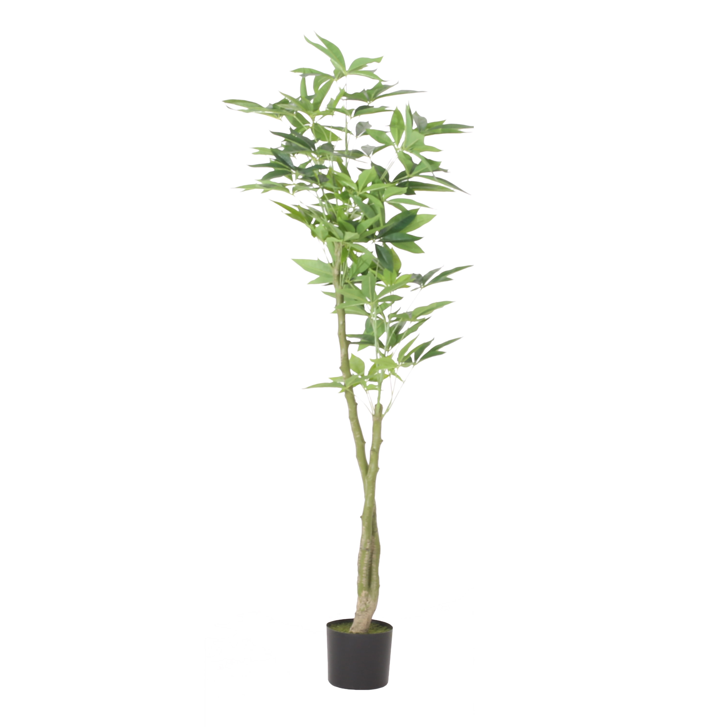 GDF Studio Coles Artificial Money Tree, 5' x 2.5'