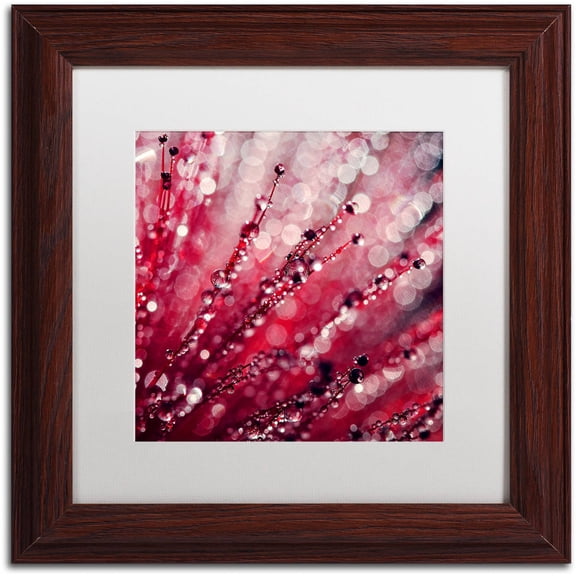 Trademark Fine Art "Red Melody" Canvas Art by Beata Czyzowska Young, White Matte, Wood Frame