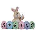 thumbnail image 4 of Easter Party Bunny Ornaments Set, Acrylic Material, Three Bunnies with Eleven Eggs, Various Sizes, Ideal for Spring Decor, 4 of 8