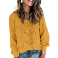 thumbnail image 1 of HOTAPEI Pullover Sweaters for Women Elegant Crochet Hollow Out Sweater Long Sleeve Sweaters Crewneck Knitwear Pullover Tops, 1 of 6