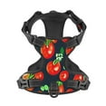 thumbnail image 4 of Picia Tomatoes No-Pull Dog Harness Reflective Front Clip Vest with Handle,Step-in Air Dog Harness,Adjustable 2 Metal Rings 4 Buckles,Easy to Put on & Take Off, 4 of 9