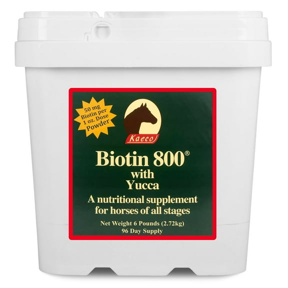 Biotin 800 Powder, 6 lb