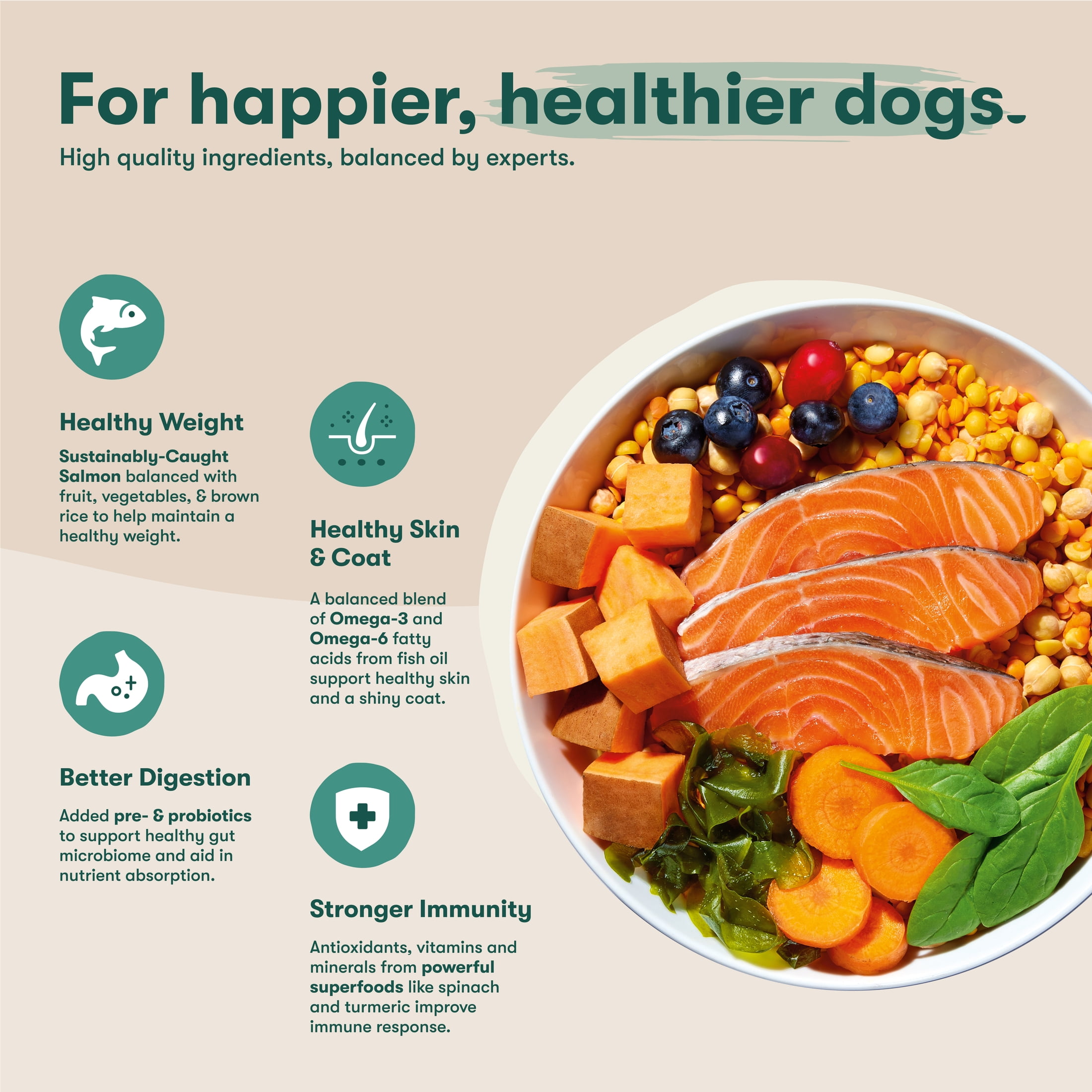 Jinx Salmon, Sweet Potato, & Carrot Grain Free Dry Dog Food, 23.5 lbs Bag