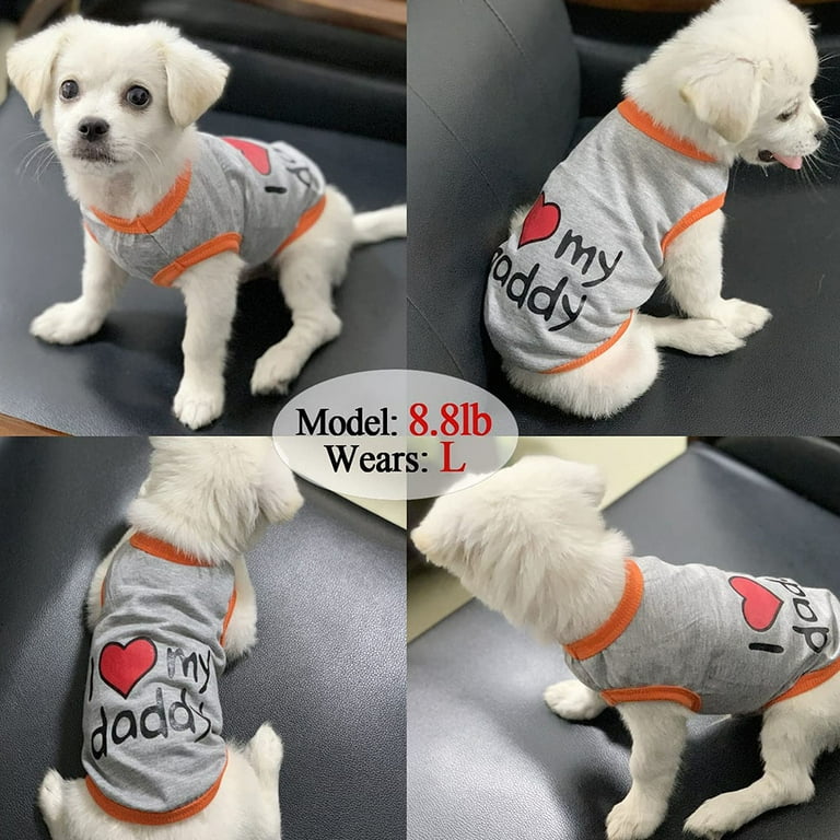 Daddy's girl dog top sweater