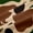 Brown Bear, variant on Feelyou Farmhouse Bear Black Out Curtains, Camo Camouflage Curtains Pack of 2 (42x63 Each)