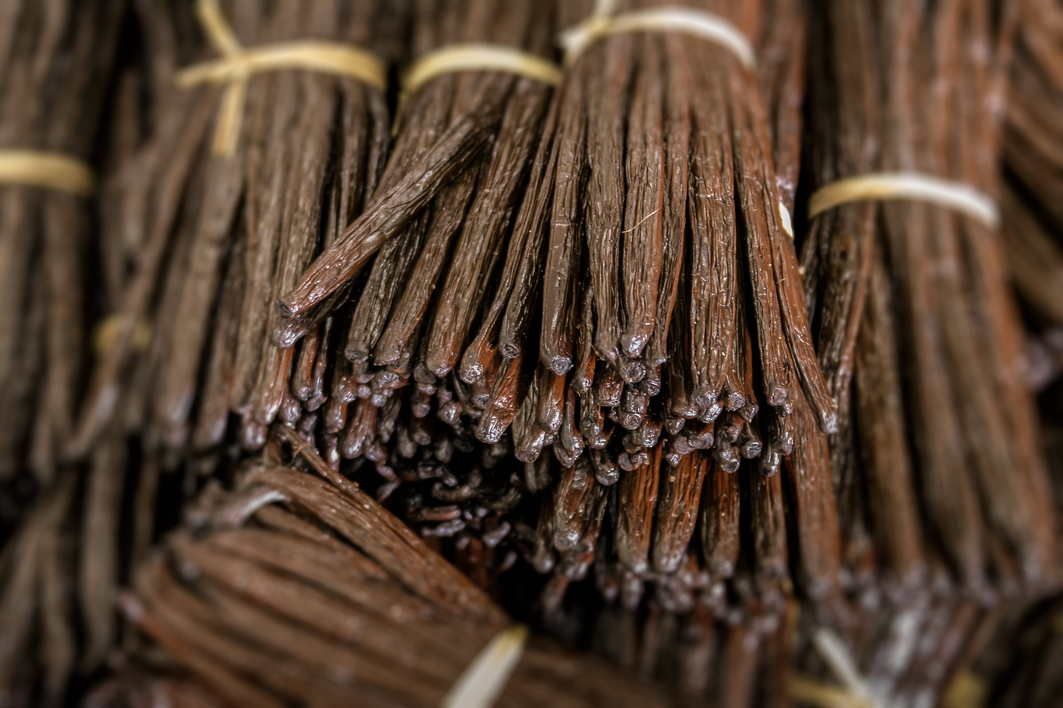 1 LB Organic Madagascar Vanilla Beans. Whole Grade A Vanilla Pods for Vanilla Extract and Baking - 16 Ounces