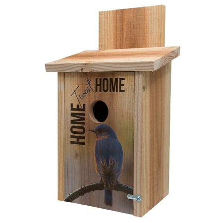 Bird Wash House - Cedar Blue Bird House Decorative Tweet