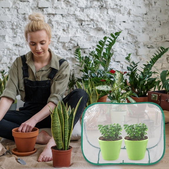 LOLIPPYY Compact Transparent PVC Greenhouse for Outdoor Plant Protection