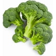 thumbnail image 3 of GSDWIUEW 300 Broccoli Seeds-Heirloom Seeds for Planting-USA Grown Broccoli Sprouts and Microgreens, 3 of 4