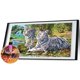 thumbnail image 2 of 5D DIY Diamond Painting Kits Full Square Drill White Tigers Imagen de mosaico Sywqhk Decoración hogareña, 2 of 9