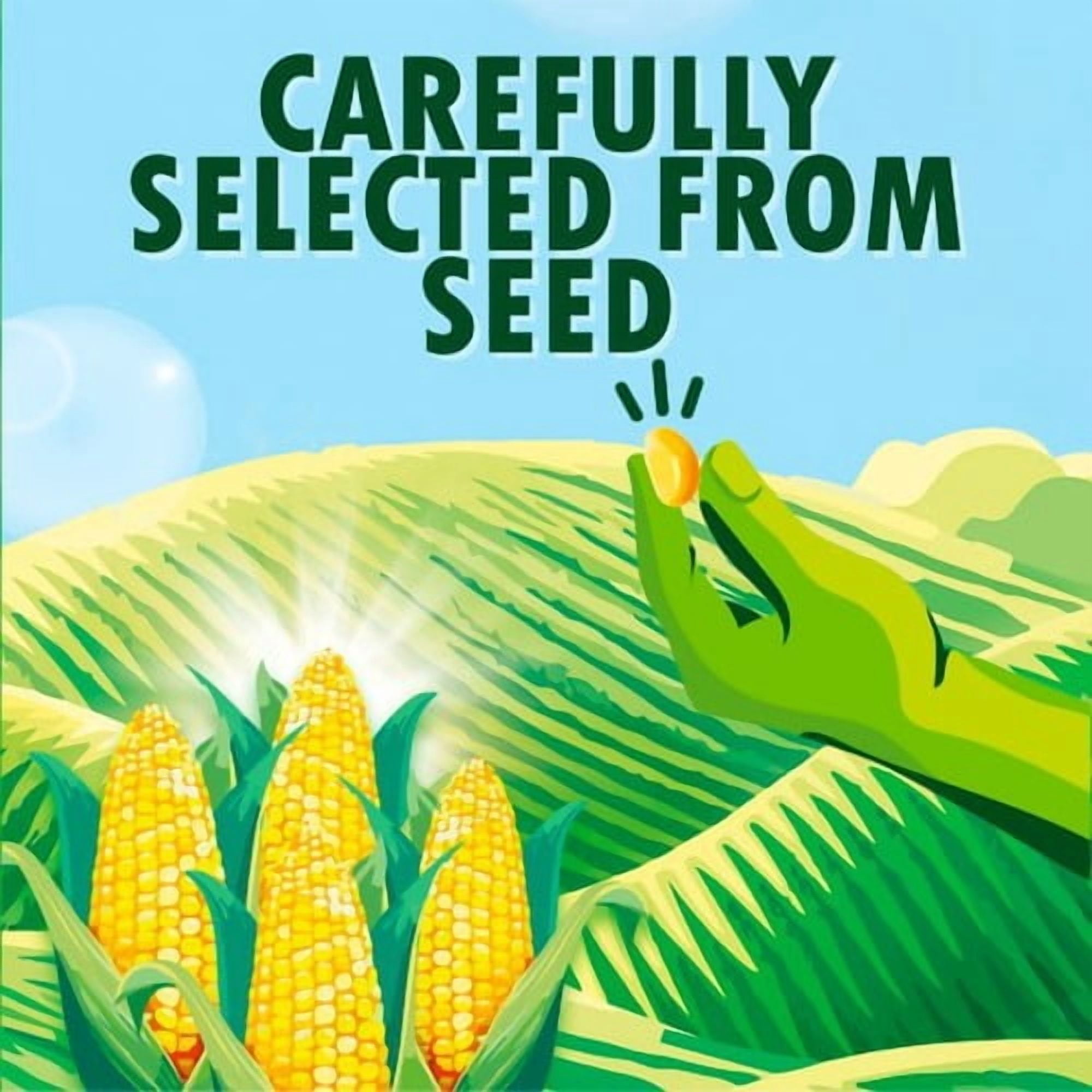 Green Giant Salt Free Sweetcorn 3 x 198g, British Import (Pack of 2)