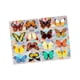 thumbnail image 3 of Rainbow Maker Window Cling, Película para ventanas, Vinilo para ventanas, Etiqueta engomada de vidrio, Calcomanía de ventana de mariposa para cocina Estilo B, 3 of 8