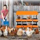 thumbnail image 4 of 8 - hole metal chicken nesting boxes para egg - laying chickens, 2 mounting options, roll - away egg feature, grande ventilation holes y easy to clean, 4 of 5
