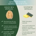 thumbnail image 3 of Natural Caribbean Grass Kitchen Sponge - Eco-Friendly, Biodegradable & Hypoallergenic, 1 pc by LatherGreen, 3 of 6