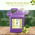 thumbnail image 5 of SVA Moringa Seed Oil Organic - 32 Fl Oz – 100% Natural Cold Pressed Moringa Oil - for Face, Skin Care, Hair Care, Scalp Massage & Body Massage – Carrier Oil with Dropper, 5 of 7