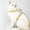 M, variant on Cat Harness, T-Shaped Adjustable Chest Strap for Outdoor Walking, Anti-Slip Cat Leash for Small Medium Cats