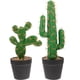 thumbnail image 1 of 2 piezas de cactus en maceta de plástico para decoración de escritorio, pequeñas figuras de cactus en maceta, decoración suculenta, 1 of 8