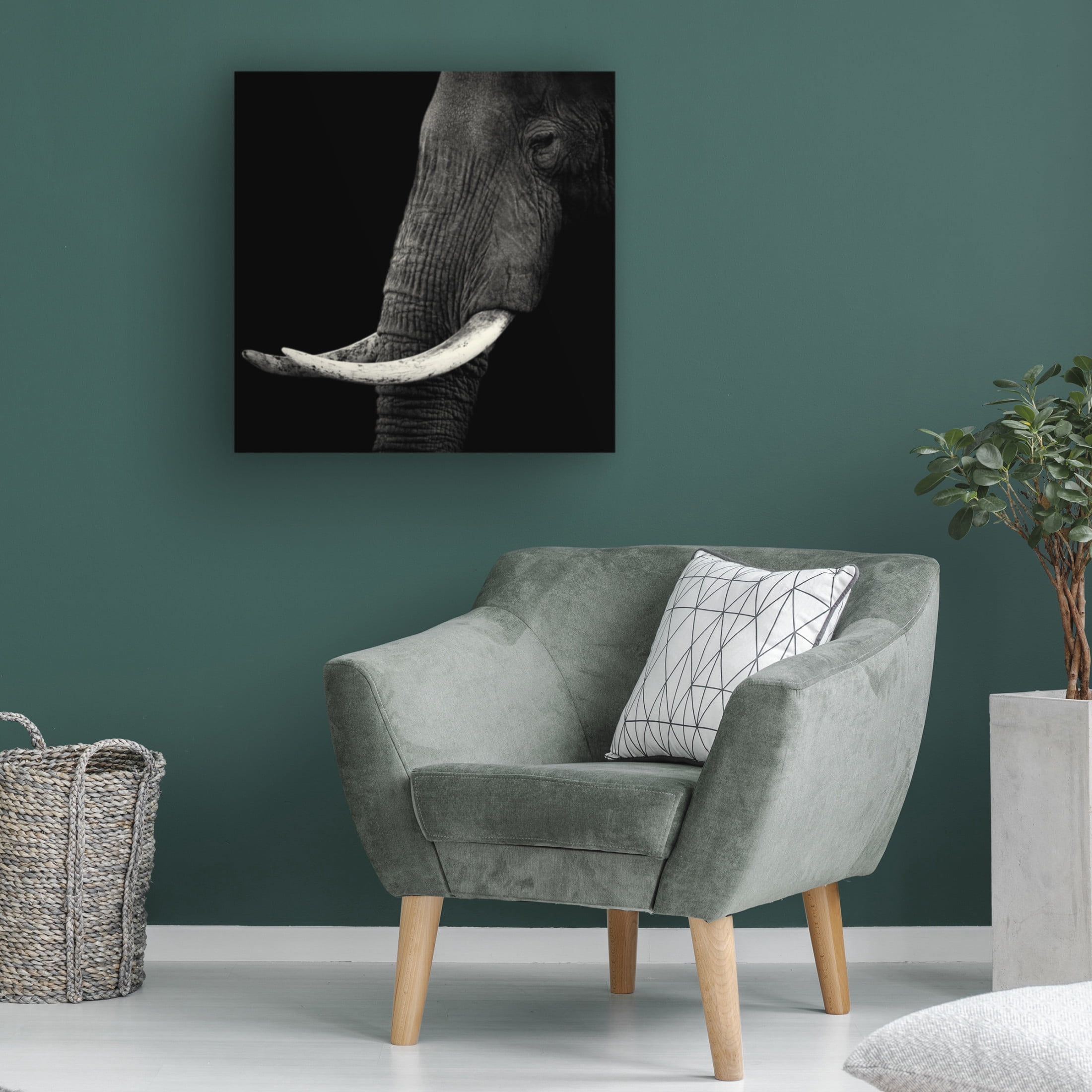 Canvas Wall Art - Hannes Bertsch 'Elephant Profile' Wall Art for Living Room, Bedroom, or Office D?cor by Trademark Fine Art - 24 x 24 Inches