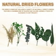 thumbnail image 3 of Natural Dried Flower Set, Dried Pressed Flowers (Green Leaves), 3 of 6