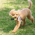 thumbnail image 2 of Dog Corduroy Tennis Rope Toy - Rope Material, Interactive, Teeth Cleaning, Suitable for Puppies & Adult Dogs, 2 of 6
