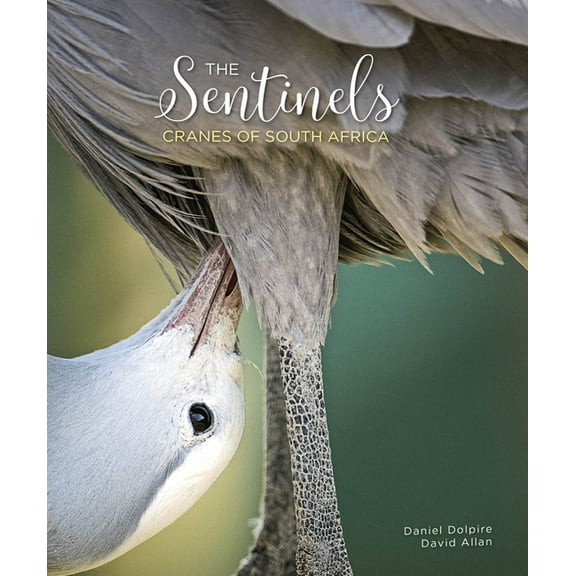 The Sentinels (Hardcover)