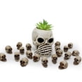 thumbnail image 3 of RKSTN Little Skeleton Head Small Skull Flower Pot Decoration 40Pcs Home Decor, 3 of 8