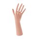 thumbnail image 3 of Mannequin Hand Model Jewelry Organizer Soporte portátil de práctica ligera Homing Hand Holing para la habitación Home Fotograps Props, 3 of 8