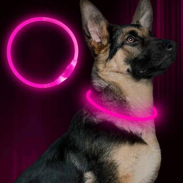 Collar Para Perro Con Luz Led Bseen, Collar Para Perro Con Flash Recargable Por Usb, Collar De Seguridad Para Mascotas Ligero Que Hace Que Sus Queridos Perros Sean Vistos Por La Noche Para Perros Pequ