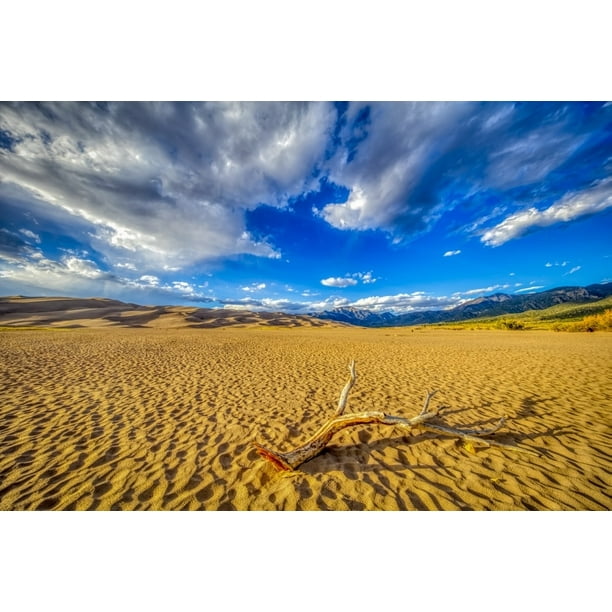 Usa Colorado Great Sand Dunes National Park And Preserve Desert And Sand Dunes Poster Print By Jaynes Gallery Walmart Com Walmart Com Usa Colorado Great Sand Dunes National Park And Preserve Desert And Sand Dunes Poster Print By Jaynes Gallery Walmart Com Walmart Com
