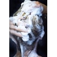 thumbnail image 3 of Rock Creek Soaps - Solid Shampoo Bar - Paradise Valley, 3 of 6