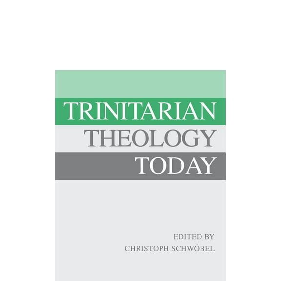 Trinitarian Theology Today: Essays on Divine Being and ACT, (Hardcover)