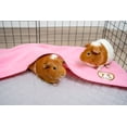 thumbnail image 5 of GuineaDad Original Liner - Pink Fleece Guinea Pig Bedding - Reusable Guinea Pig Cage Liner - Extra Absorbent with Waterproof Bottom and Burrowing Pocket - Small Pet Supplies - 2x3 C&C, 5 of 5