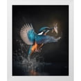 thumbnail image 2 of Maki 12x14 White Modern Wood Framed Wall Art Titled - Fishing King Ii, 2 of 6