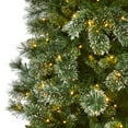 thumbnail image 5 of Nearly Natural 9' Slim Snow Tip Pine Artificial Christmas Tree Prelit with LED Lights, 5 of 8