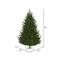 thumbnail image 3 of Vickerman 7.5' x 55" Eagle Fraser Full Artificial Christmas Tree, Unlit, 3 of 3