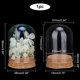 thumbnail image 5 of Campana de cristal con base de corcho, botella de cristal, tarros decorativos con cúpula, vitrina., 5 of 8