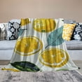 thumbnail image 2 of Shiartex  Lemon Pattern Fruit Lightweight Super Soft Cozy Throw Blanket Warm and Lightweight Soft Flannel Blankets Small for Kid Bed Blanket White, 2 of 6