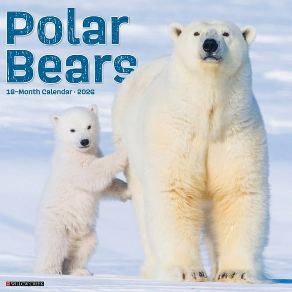 Polar Bears 2026 Wall Calendar, (Paperback)