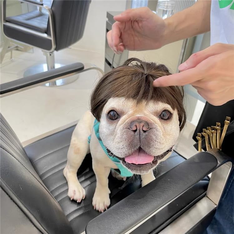 Funny Dog Wig for Small Medium Large Dogs with Free Head Flower Trimmable Pet Costume Cat Cosplay Decoration for Halloween Christmas Parties Walmart